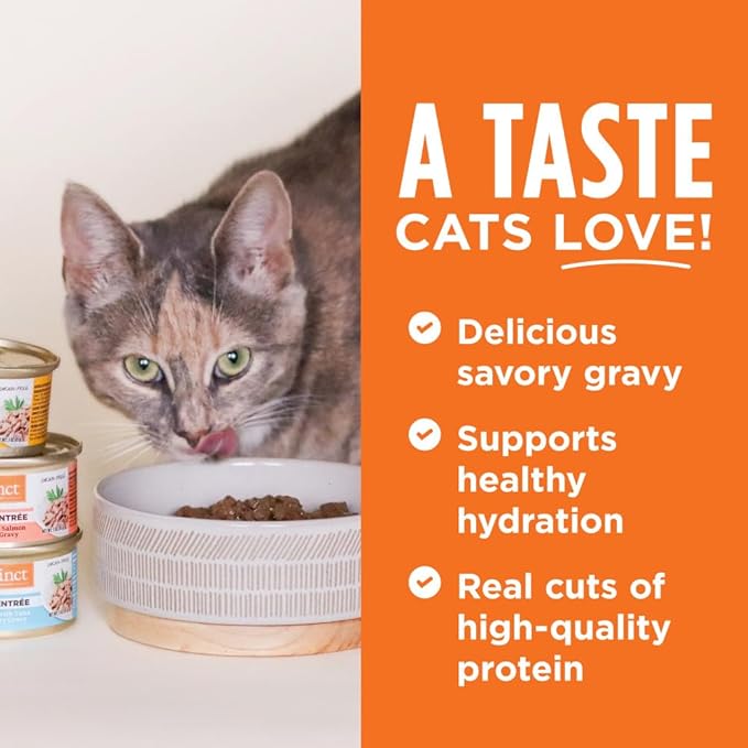 Instinct Flaked Entrée Wet Canned Cat Food - Salmon, 5.5 Ounce (Pack of 12)