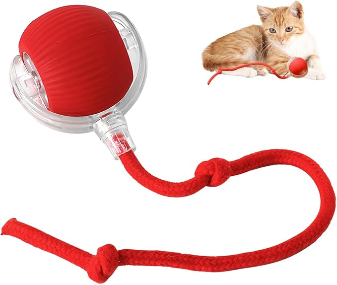 Interactive Cat Toy Ball for Indoor Cats - 2024 New Self-Rolling Dog Ball Automatic 360 Smart Electric Toy Fast Rolling on Carpet for Cats and Dogs (Red)