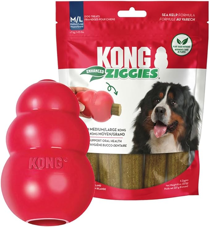 KONG Classic Dog Toy Enhanced Ziggies Dental Treats – Durable Rubber Chew Toy & Teeth Cleaning Stuffable Treats Bundle (Large)