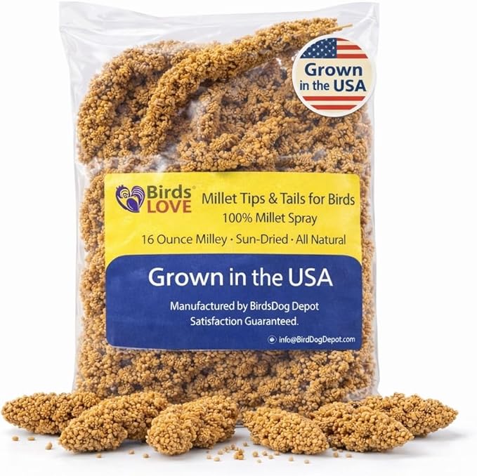 Birds LOVE Millet Tips & Tails for Birds - Parakeets, Cockatiels, Lovebirds, Finches, Budgies, Canaries, Cockatoos - Natural & Healthy Millet for Birds - Parakeet Food & Treats for All Parrots, 1lb
