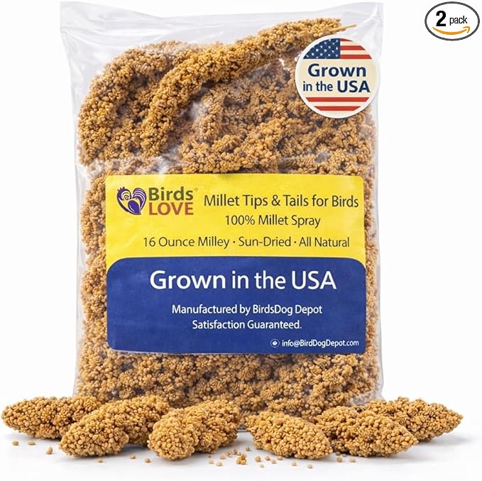 1lb Millet Tips & Tails for Birds - Parakeets, Cockatiels, Lovebirds, Finches, Budgies, Canaries, Cockatoos - Natural & Healthy Millet for Birds - Parakeet Food & Treats for All Parrots (2 Pack)