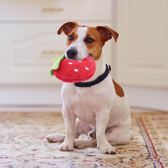 Beavorty Strawberry Squeaky Dog Toy 3.54 Inch Fruit Shape Pet Chew Toy for Puppies Cats 2 Pack Rubber Plaything to Reduce Destructive Chewing