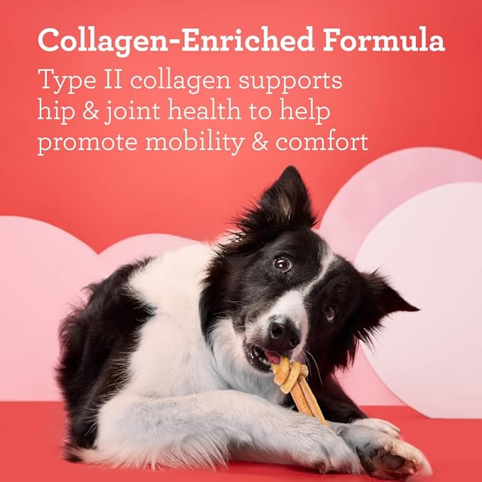 DreamBone CollaYUMS Knots Plus Collagen Chews for Dogs, 8 Count, Treat Your Dog to Rawhide-Free Chews Made with Chicken, Vegetables and Peanut Butter (Pack of 2)