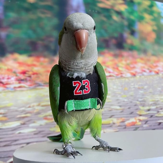 Bird Flight Harness Vest, Parrot Flight Suit with Leash, Bird Flying Clothes with Rope and Handle for Outdoor Activities (Without Leash,Cockatiel) (4XL, Without Rope)