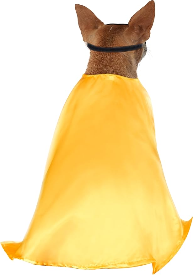 Rubies DC Teen Titans: Robin Pet Costume for Dogs or Cats, Large