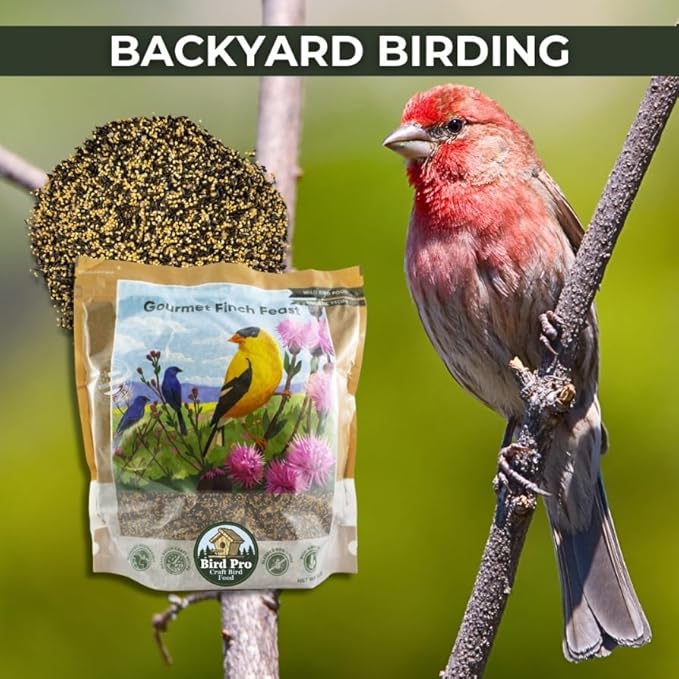 Bird Pro Holistic Bird Seed - Premium Seed for Backyard Feeding (5 Pounds, Gourmet Finch Feast)
