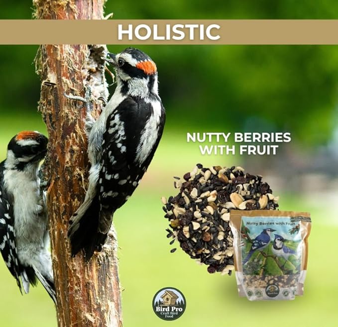 Bird Pro Holistic Bird Seed - Premium Seed for Backyard Feeding (18 Pounds, Nutty Berries with Fruit)
