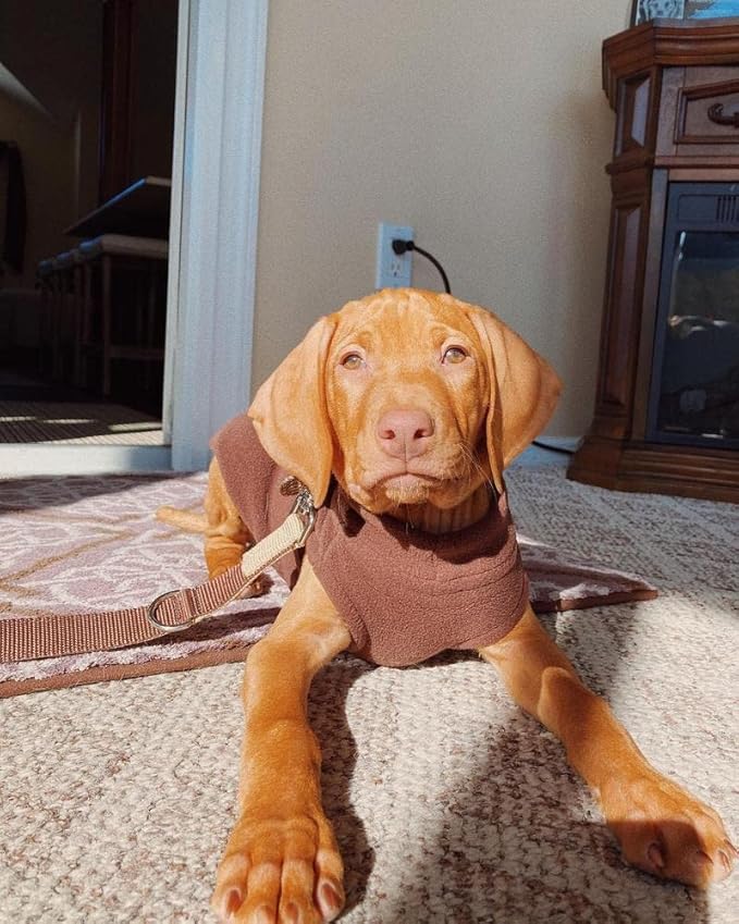 Gooby Stretch Fleece Vest Dog Sweater - Brown, Large - Warm Pullover Super Stretchy Fleece Dog Jacket for Small to Large Dogs