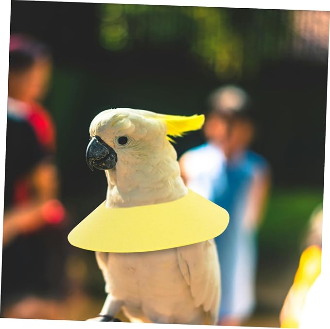 ORFOFE Parrot Neck Collar Protective Accessory for Recovery and Comfortable for Preventing Pecking and Injury Design for Birds