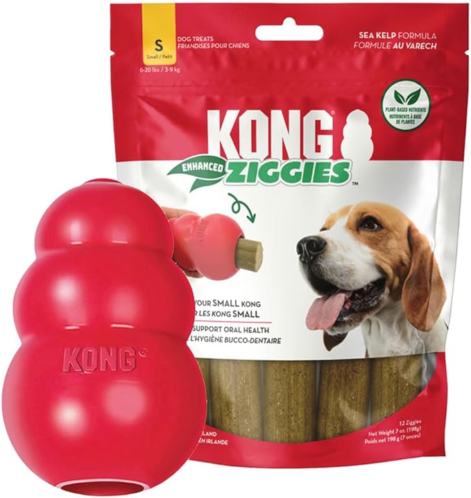 KONG Classic Dog Toy Enhanced Ziggies Dental Treats – Durable Rubber Chew Toy & Teeth Cleaning Stuffable Treats Bundle (Small)