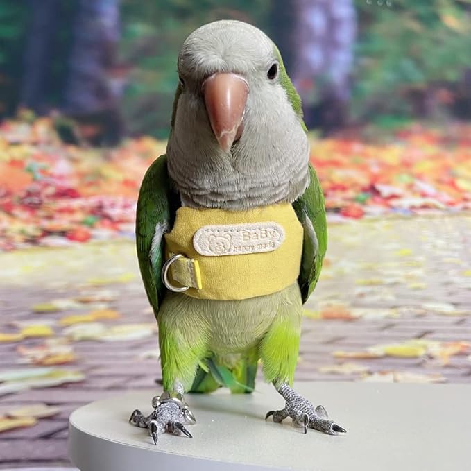Bird Flight Harness Vest, Parrot Flight Suit with Leash, Bird Flying Clothes with Rope and Handle for Outdoor Activities (Without Leash,Cockatiel) (2XL, with Rope)