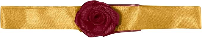 Beauty and The Beast Belle Pet Costume