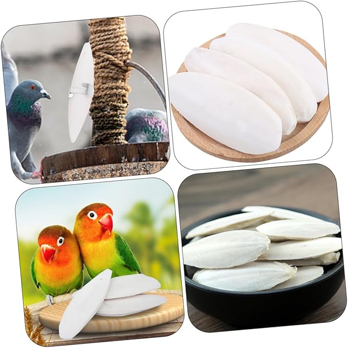 Totority 12sets Cuttlebone Chew Toy for Hamsters Parrots Molar Calcium Pet Bite Toy Holder Bird Cage Accessories