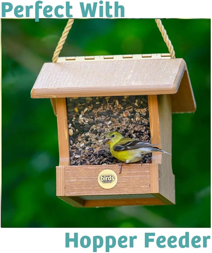 Birds Choice Finch Feast Wild Bird Food | Nutrient-Rich Bird Seed Blend | High-Energy with Nyjer Thistle, Sunflower Chips, Nyjer & Vegetable Oil | High Protein & Fat for Attracting Finches | 5 lbs