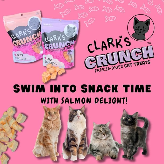 | Freeze Dried Cat Treats | Salmon Bites, Single Protein | Premium Quality | Grain Free Training Treats for Cats, 2 oz Pouch