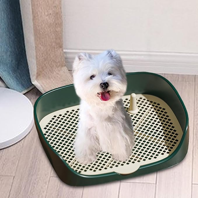Pet Dog Toilet Puppy Training Potty Tray Portable for Cat Training Pad Holder with Protection Wall Litter Box Trainer Corner, Green L