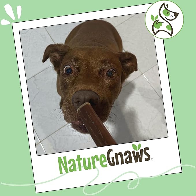 Nature Gnaws Bully Sticks for Dogs 5-6" (1Lb) - Mixed Thickness - Long Lasting for Aggressive Chewers and Large Dogs - Natural Beef Dog Chew Bones