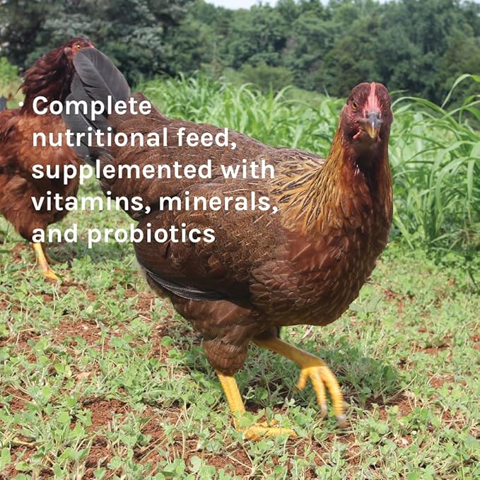 New Country Organics | Classic Layer Feed for Laying Hens | Soy-Free | 17% Protein | Certified Organic and Non-GMO | 25 lbs