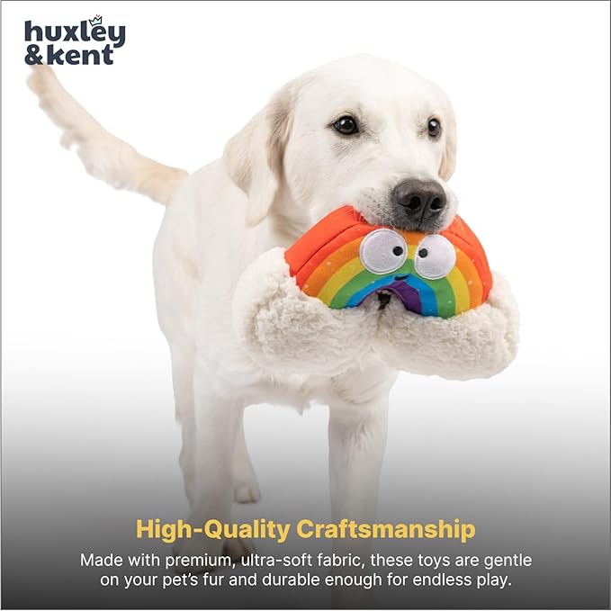 Huxley & Kent Funny Dog Toy w/Squeaker – Power Plush Squeaky Dog Toys for Small, Medium & Large Dogs – Soft Stuffed Animal for Indoor Play & Fetch - Happy Rainbow, Small