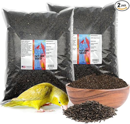 Morning Bird Nyjer Seed for Birds 18 lbs (2-Pack, 9 lbs Each) – Rich in Natural Healthy Fats – Ideal for Breeding & Molting – Premium Bird Food for Canaries and Other Seed-Eating Birds