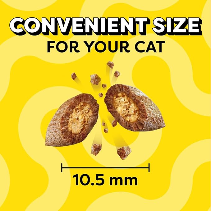Temptations Cat Treats Classic Crunchy and Soft Cat Treats, Savory Salmon Flavor, 3 oz. Pouches (Pack of 12)