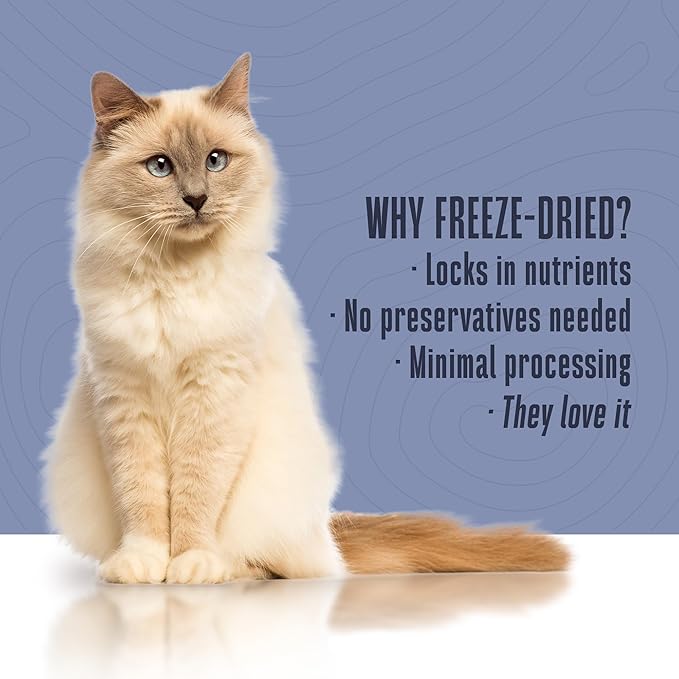 Whole Life Cat Living Treats for Cats – Human Grade Probiotics for Allergy & Itchy Skin Relief, Natural Digestive Support, Healthy Cat Snacks for Felines - Salmon & Yogurt, 1 oz (Pack of 1)
