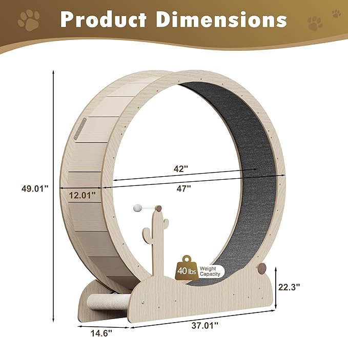 JungleA Large Cat Exercise Wheel 47 Inch - Spacious Cat Wheel with Detachable Teaser and Scratching Post for Indoor Cats, Featuring Safety Lock & Low Noise Design for Most Cats
