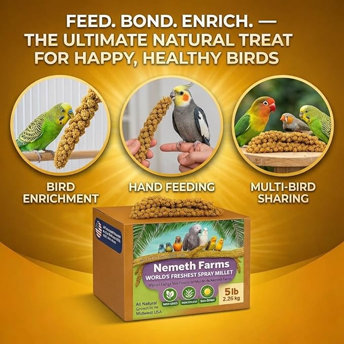 USA Grown Spray Millet for Birds – Midwest Harvest, 5 lbs Premium 100% Natural, Sun-Dried Non-GMO Whole Millet Sprays, Bird Treat for Parakeets, Budgies, Cockatiels, Conures, Lovebirds & Finches