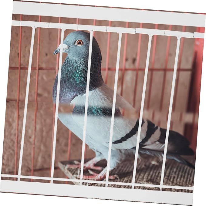 1pc Bird Door for Pigeon Cage Simple and Aesthetic Design for Entrance for Racing and Pet Birds