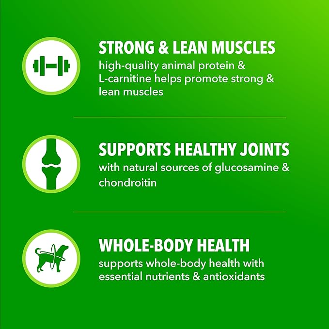 IAMS Proactive Health High Protein Dry Dog Food with Chicken & Beef, 5 lb. Bag