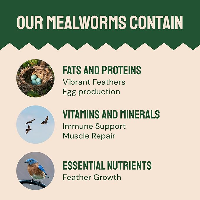 Hatortempt Dried Mealworms for Wild Birds - 1.8 Lb Bag - Non-GMO Meal Worms for Wild Birds - Attracts Bluebirds, Starlings, Wrens, Woodpeckers, Cardinals and Robins