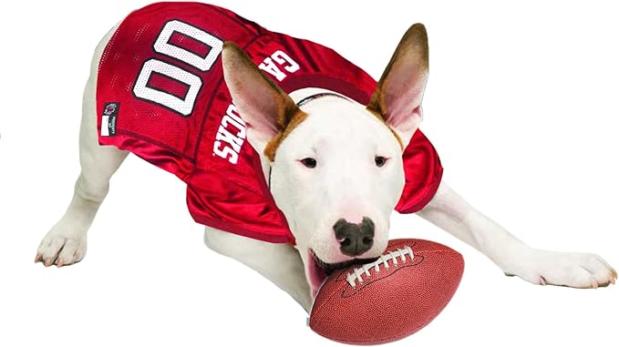 Pets First NCAA College South Carolina Gamecocks Mesh Jersey for DOGS & CATS, Small.Licensed Dog Jersey with your Favorite Football/Basketball College Team