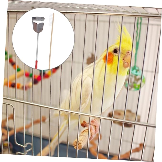 2pcs Set Birdcage Brush Rabbit Parrot Poop Tool Pet Birds Cage Supply Parrot Bird Cage Cleaning Brush Cages Feeder Parrot Cage Accessory Pigeon Stainless Steel