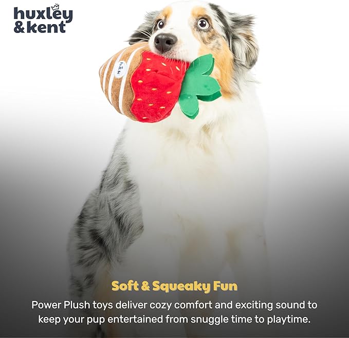Huxley & Kent Funny Dog Toy w/Squeaker – Valentine's Day Power Plush Squeaky Dog Toys for Small, Medium & Large Dogs – Soft Stuffed Animal for Indoor Play & Fetch - Chocolate Strawberry, Large