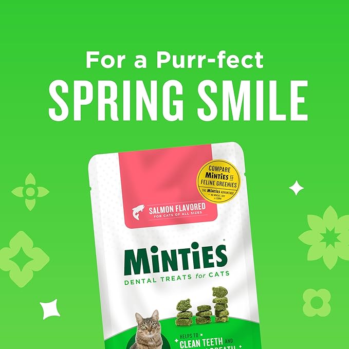 Minties Dental Treats for Cats, Salmon Flavored Cat Dental Treats, Freshens Breath and Controls Tartar, 10oz
