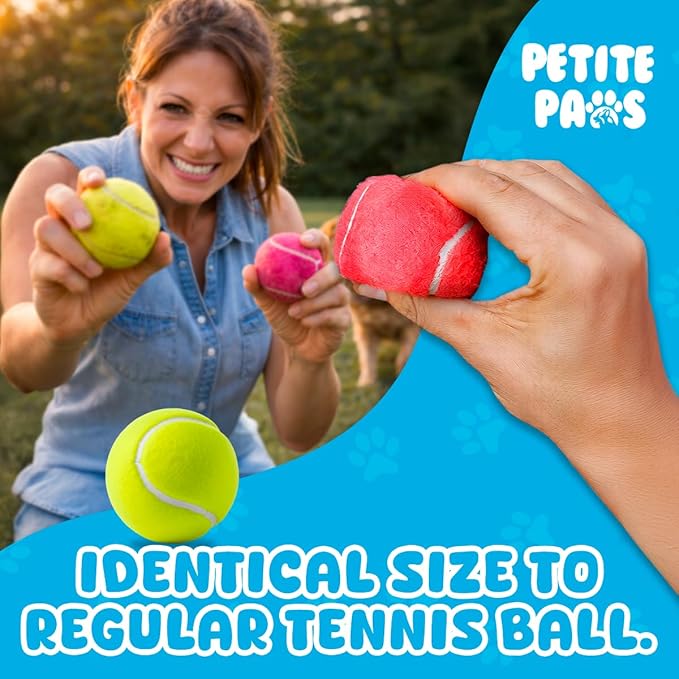 Squeaky Tennis Balls for Dogs 2.5 Inch - 6 Pack Dog Toy Balls - Non-Toxic Natural Rubber Squeaky Balls for Medium Dogs, Puppies, Fetch, Training - Durable Dog Ball