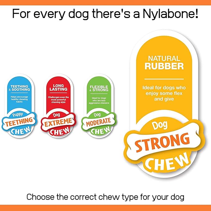 Nylabone 3 Pack of Bacon Cheeseburger Flavor Frenzy Strong Chew Toys, Small