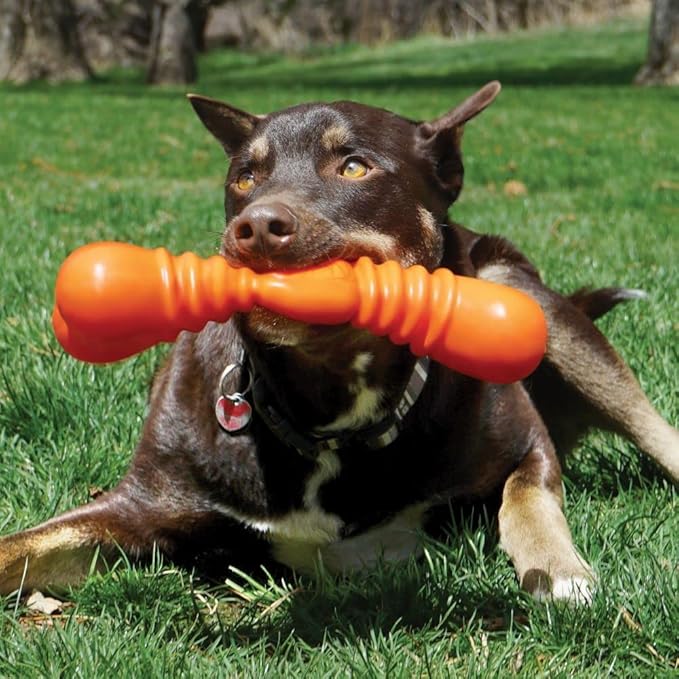 KONG Squeakstix Wigglerz, Large, Orange