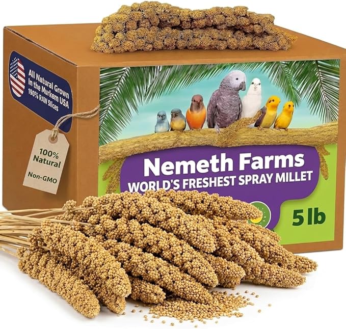 USA Grown Spray Millet for Birds – Midwest Harvest, 5 lbs Premium 100% Natural, Sun-Dried Non-GMO Whole Millet Sprays, Bird Treat for Parakeets, Budgies, Cockatiels, Conures, Lovebirds & Finches