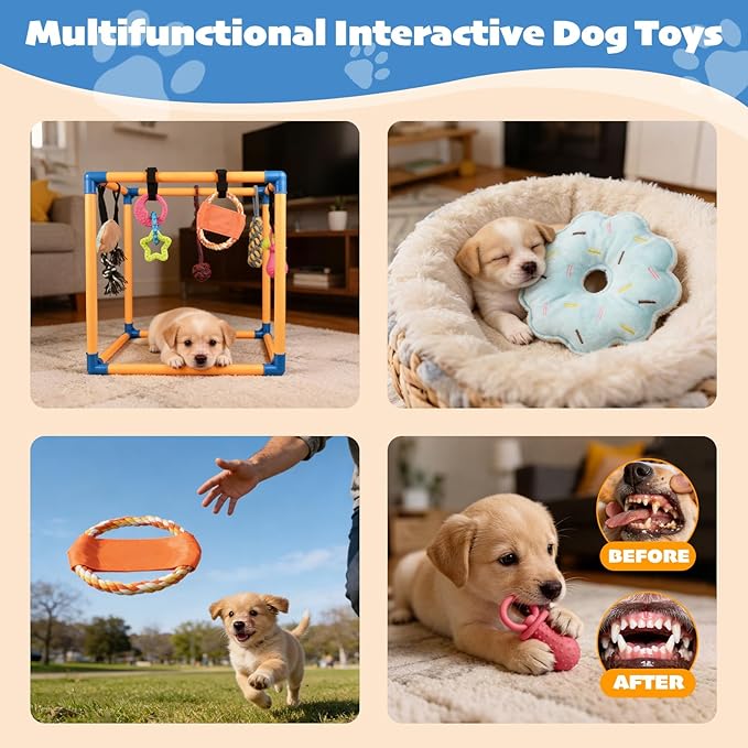 Puppy Play Gym with 10 Hanging Toys, 19.5" PVC Removable Dog Enrichment Playground, Interactive Indoor Training Activity Center for Small Dogs & Puppies with Rubber/Teething/Rope/Squeaky Toys