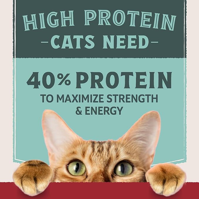 Natural Balance Ultra Protein Dry Cat Food, Real Chicken & Chicken Meal Recipe with Protein-Rich Organs - 6 lbs.