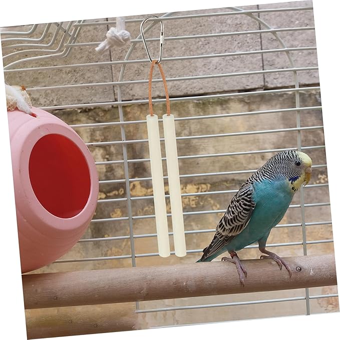 TOYANDONA 10pcs Natural Chewing Toys for Parrots Molar Sticks for Birds for Pets and Creative Bird Cage Accessories
