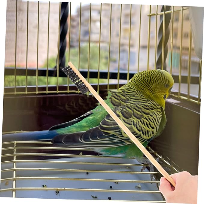 Hemobllo 2pcs Bird Cage Cleaning Brush Shovel Set Guinea Pig Bunny Chicken Coop Reptile Cage Accessory Pet Bird Small Animal Garden Cleaning Tool
