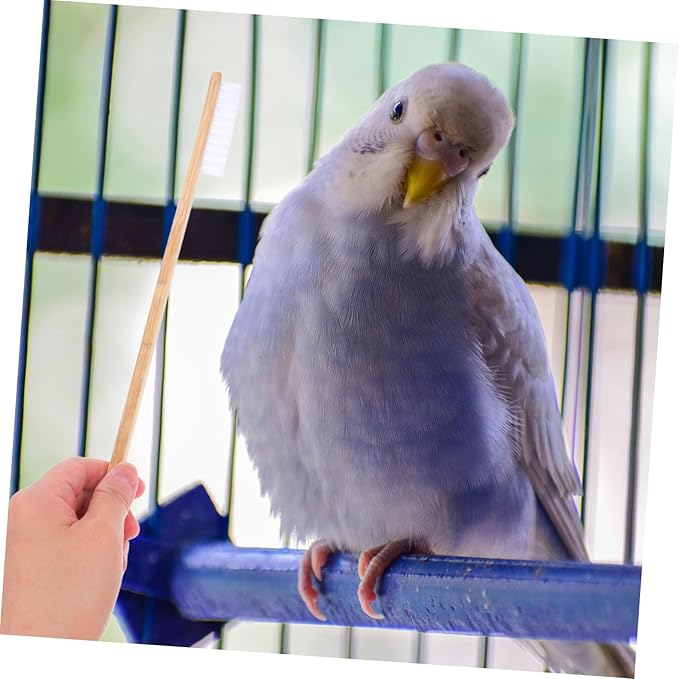 TOYANDONA 2pcs Bird Cage Cleaning Tools Set Durable Brush and Shovel for Droppings Removal Essential Bird Cage Accessories for Pet Environment