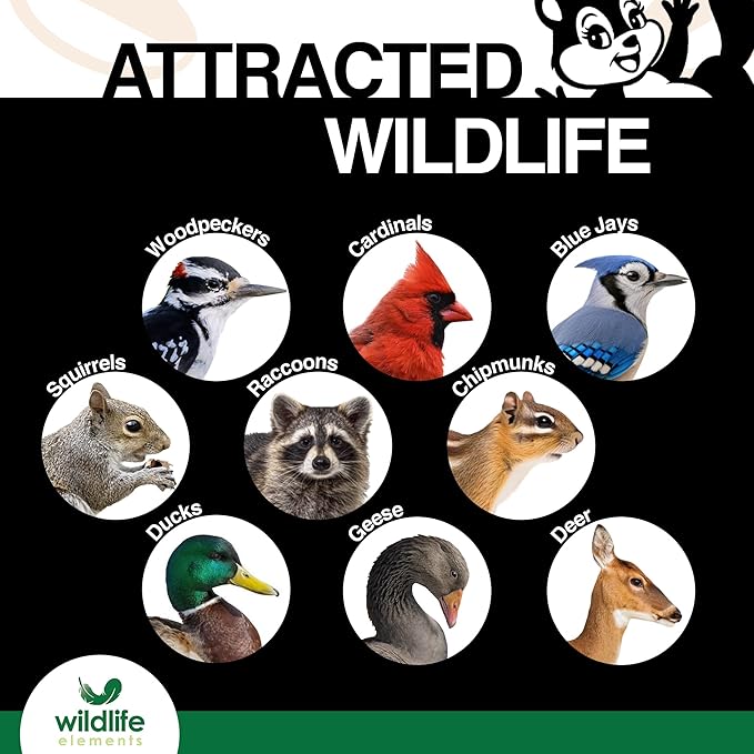 Wildlife Elements Peanut Party Unprocessed, Raw Shelled Peanuts Wildlife Animal Food, 25lb - Rich in Protein, Healthy Fats, and Essential Nutrients for Birds, Squirrels & Waterfowl