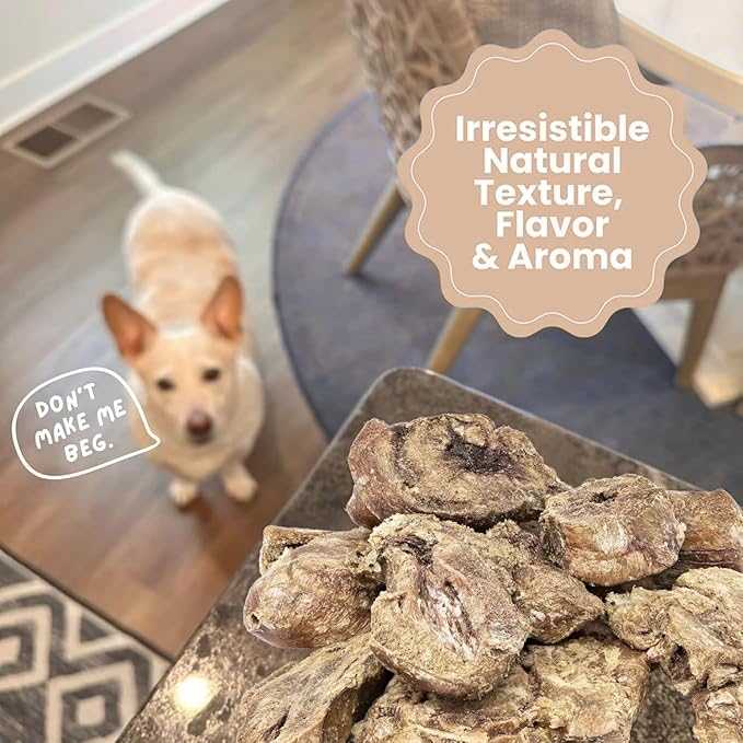 hotspot pets Freeze Dried Turkey Hearts Treats for Cats & Dogs - Made in USA, 1lb Big Bag, Single Ingredient All Natural Grain-Free Turkey Heart - Great for Training, as a Topper or Snack
