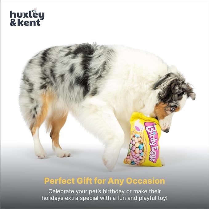 Huxley & Kent Funny Dog Toy w/Squeaker – Power Plush Squeaky Dog Toys for Small, Medium & Large Dogs – Soft Stuffed Animal for Indoor Play & Fetch - Birdy Eggs, Large