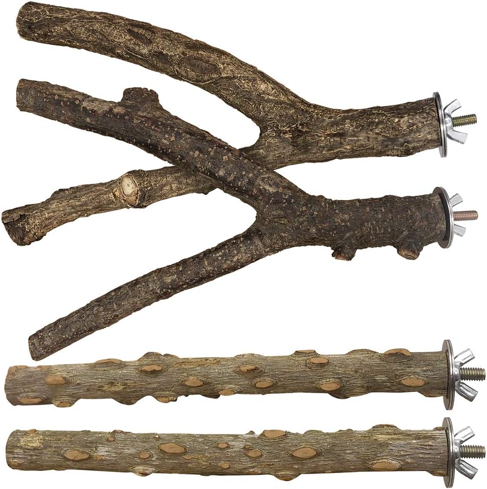 Bird Perch 4 PCS Natural Wood Stand Parakeet Toys Bird Cage Accessories for Parrots Conure Supplies Budgie Platform