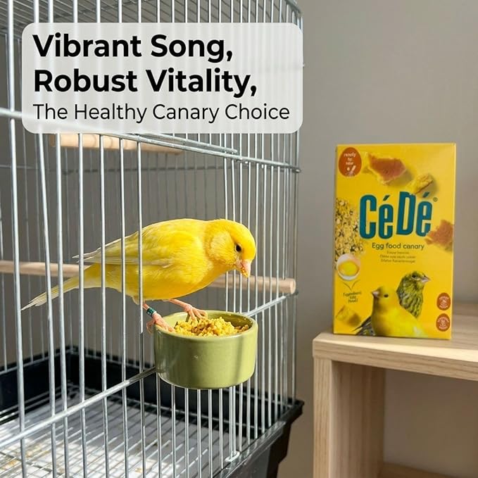 CeDe Egg Food for Canaries and Finches 1kg – Ready-to-Use Food Bird Feed for Breeding, Molting and Daily Conditioning, Soft Egg-Based Feed in Sealed Freshness Box