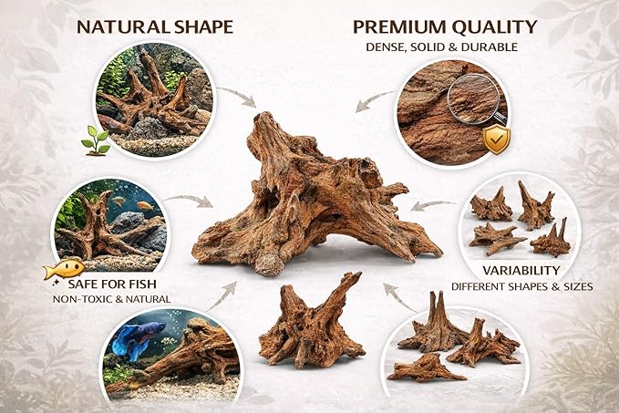Azil Natural Driftwood 6'' - 8''(3pcs) Perfect Aquarium Decoration! Ideal for Fish Tanks, Freshwater Aquariums, terrariums, aquascaping, hardscaping,Aquatic Plants.